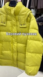Базовая куртка с капюшоном утепленная натуральным пухом